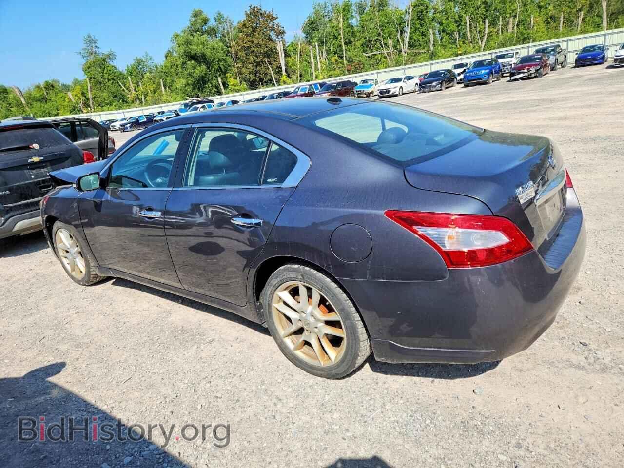 2011 NISSAN MAXIMA - VIN: 1N4AA5AP2BC833896 - Фото 2