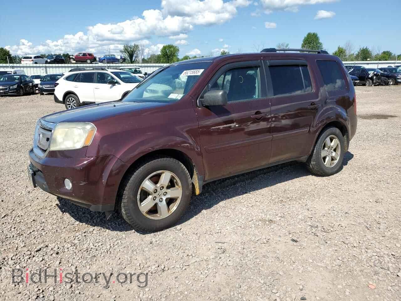 Фотография 5FNYF4H42BB032291 - HONDA PILOT 2011