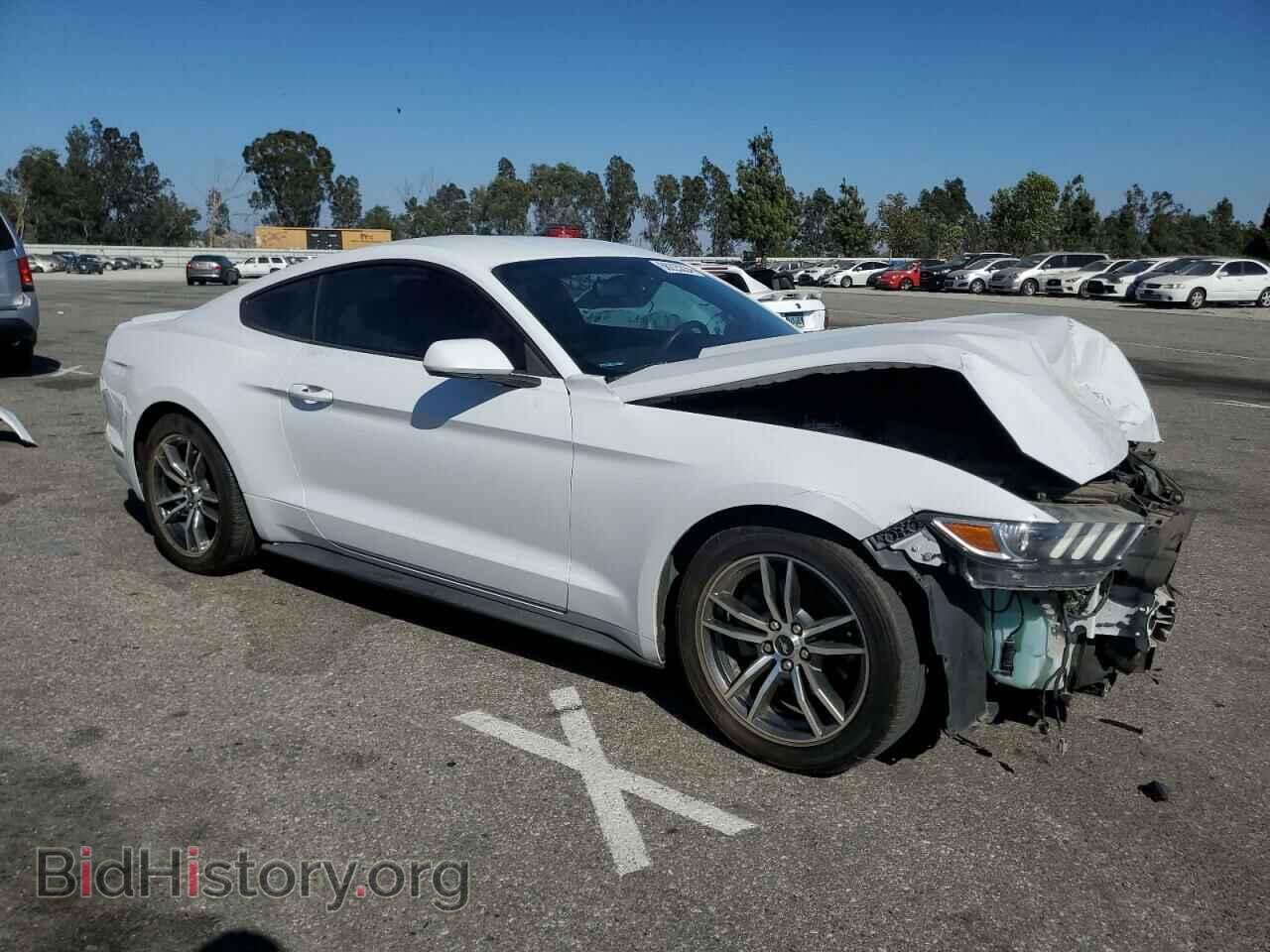 2017 FORD ALL Models - VIN: 1FA6P8TH2H5235431 - Фото 4