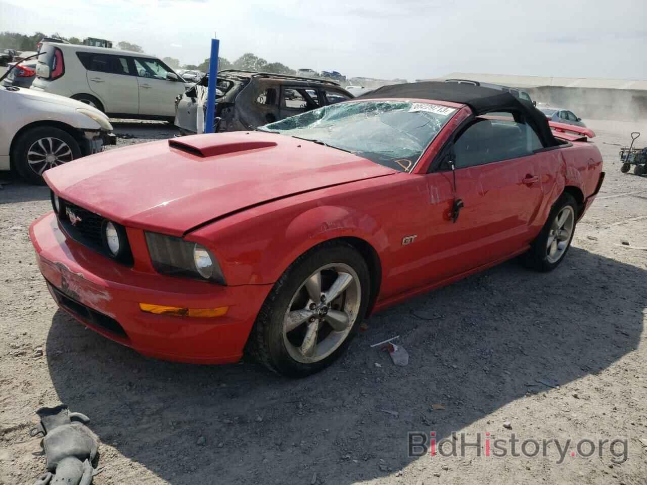 Photo 1ZVHT85H375218189 - FORD MUSTANG 2007