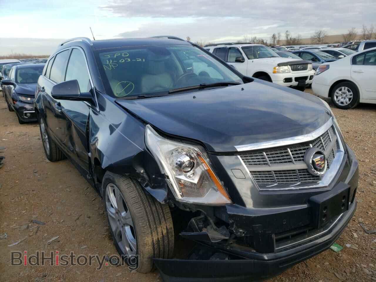 Photo 3GYFNFEY0BS583544 - CADILLAC SRX 2011