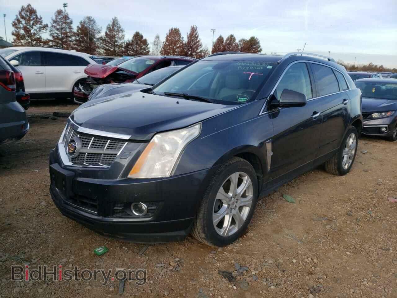 2011 CADILLAC SRX - VIN: 3GYFNFEY0BS583544 - Фото 2