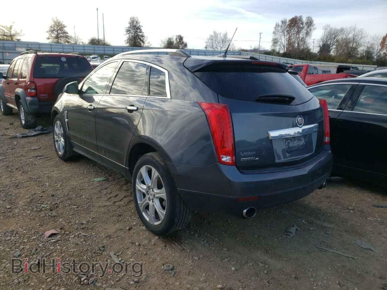 2011 CADILLAC SRX - VIN: 3GYFNFEY0BS583544 - Фото 3