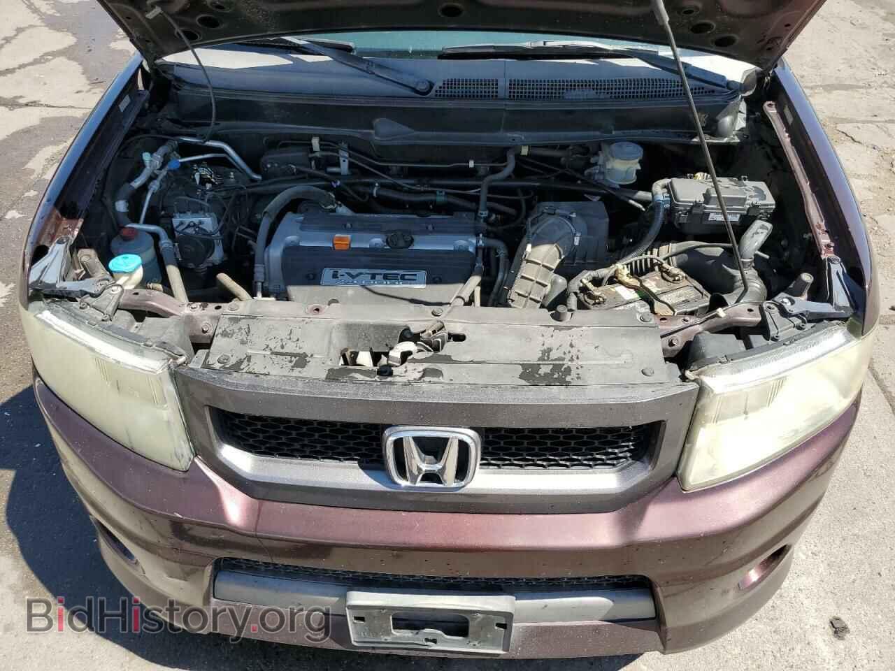 2009 HONDA ELEMENT - VIN: 5J6YH18979L001172 - Фото 12