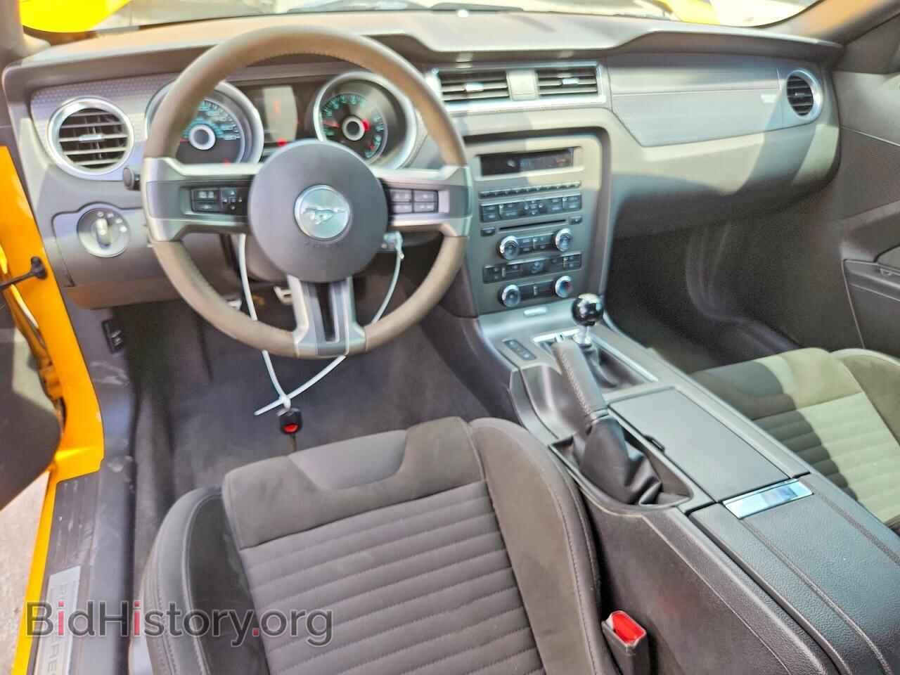 2013 FORD MUSTANG - VIN: 1ZVBP8CU5D5205739 - Фото 8