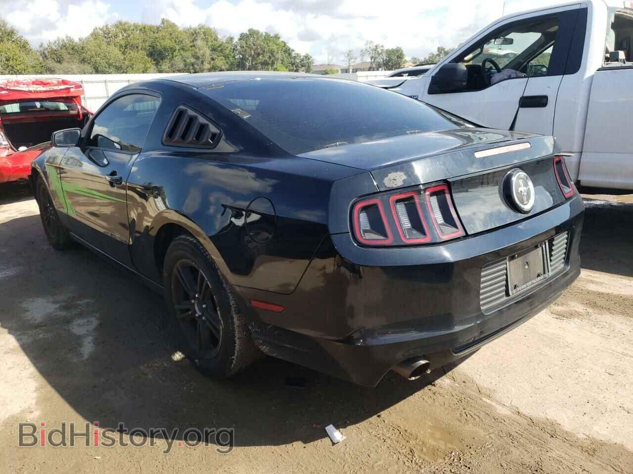 2014 FORD MUSTANG - VIN: 1ZVBP8AM4E5305710 - Фото 3