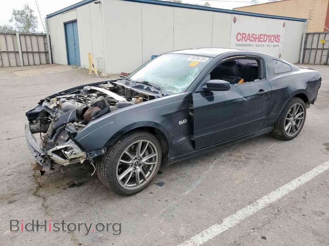 Фотография 1ZVBP8CF8D5226697 - FORD MUSTANG 2013