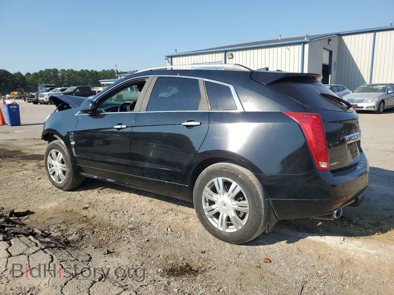 2011 CADILLAC SRX - VIN: 3GYFNAEY9BS544163 - Фото 2