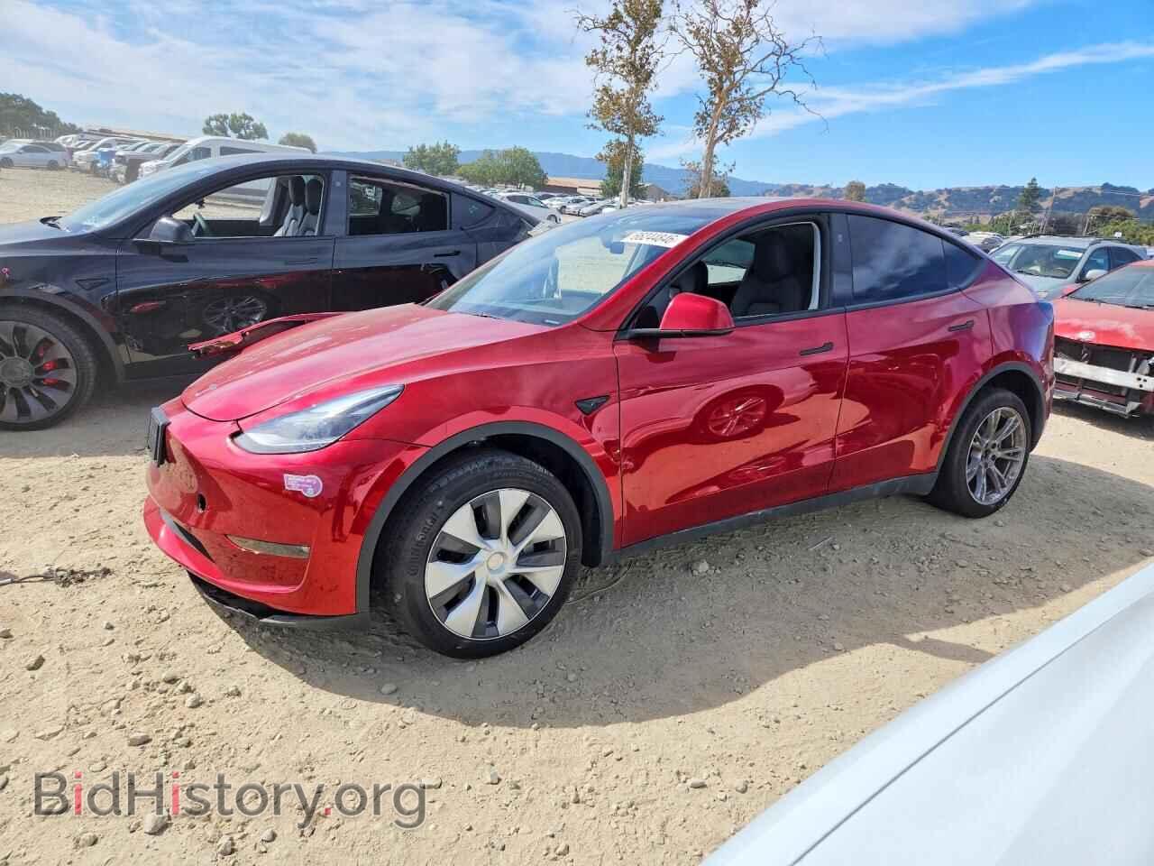 Фотография 7SAYGDEE3RF003101 - TESLA MODEL Y 2024