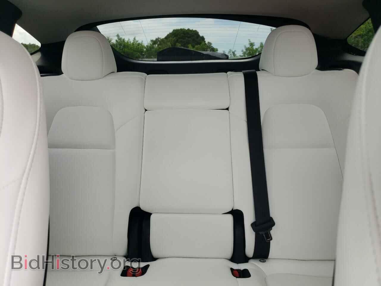 2024 TESLA MODEL Y - VIN: 7SAYGDED3RF038406 - Фото 10