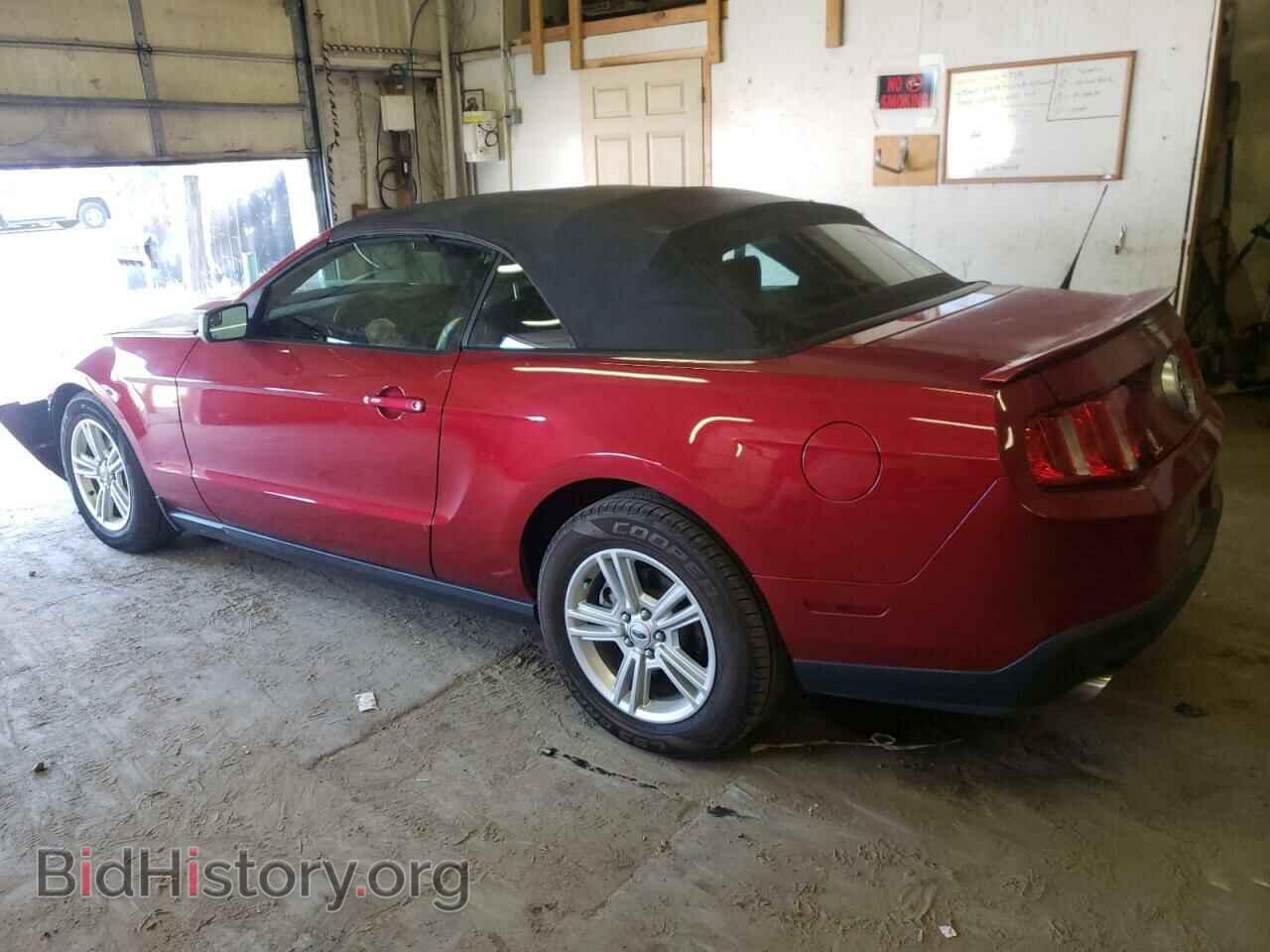 2011 FORD ALL Models - VIN: 1ZVBP8EM3B5135989 - Фото 2