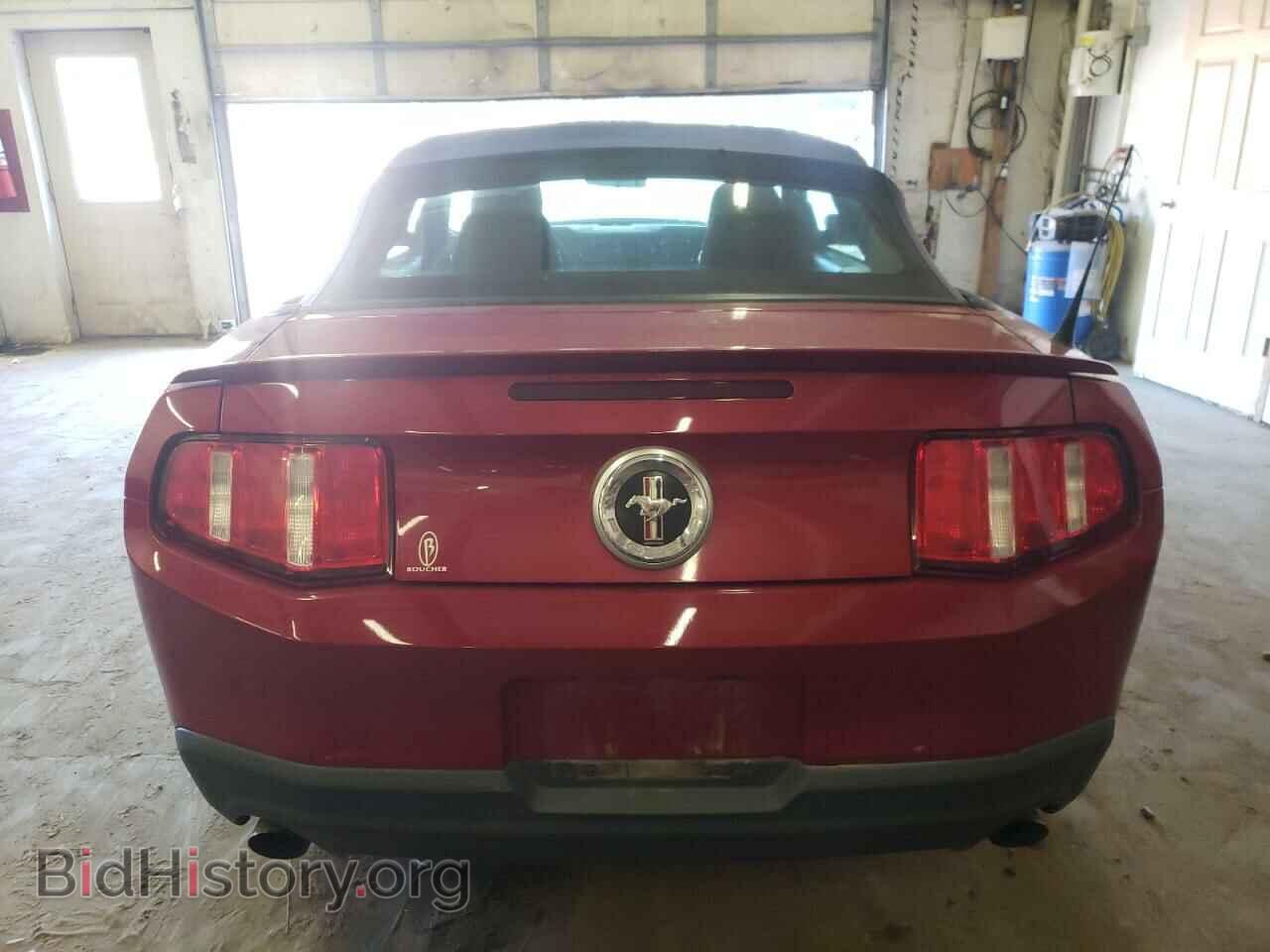 2011 FORD ALL Models - VIN: 1ZVBP8EM3B5135989 - Фото 6
