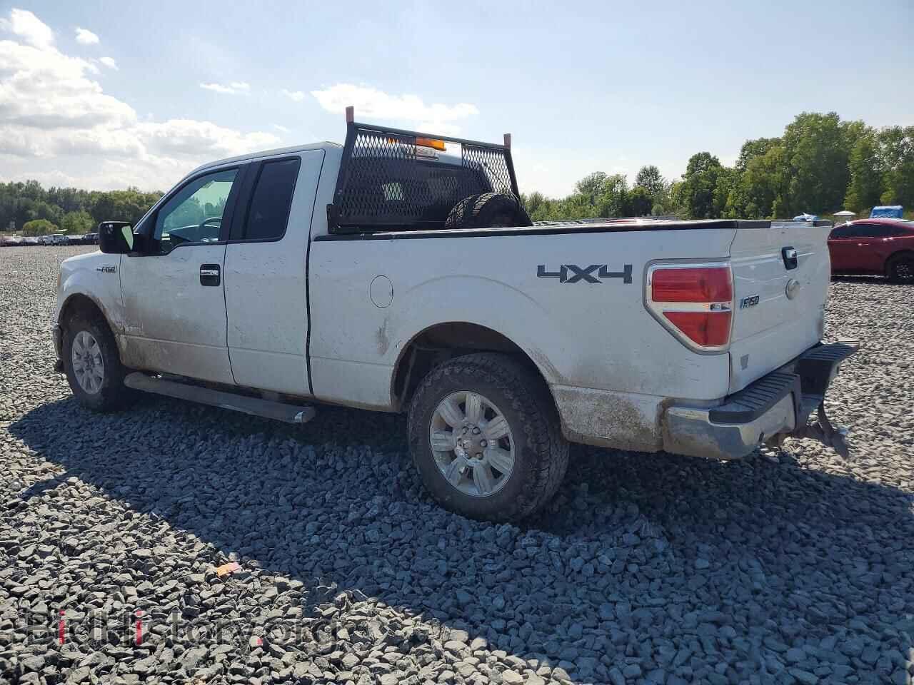 2012 FORD F150 - VIN: 1FTFX1ET1CFA67884 - Фото 2