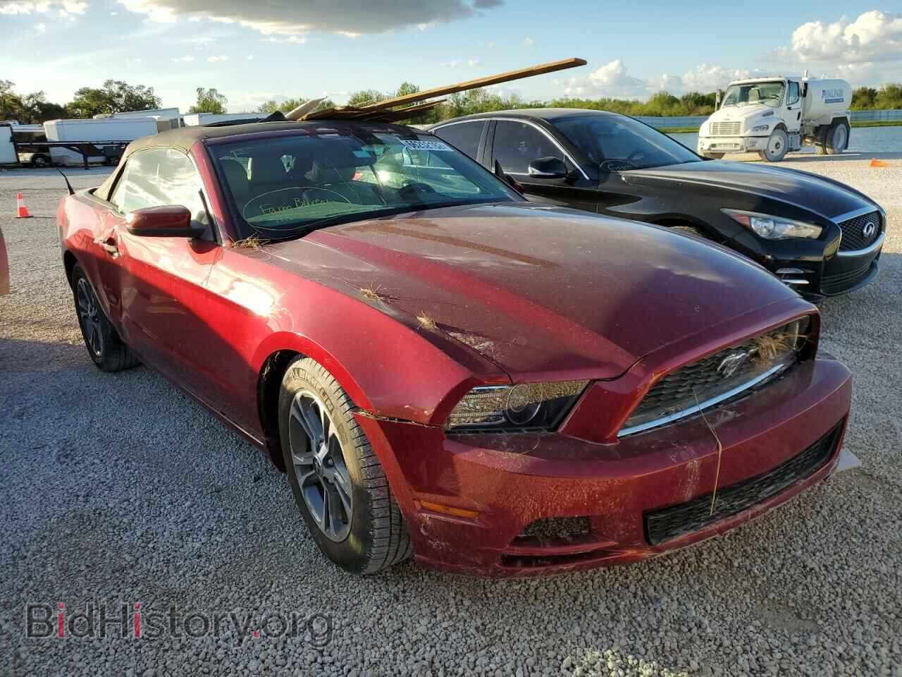 Фотография 1ZVBP8EM2E5275732 - FORD MUSTANG 2014