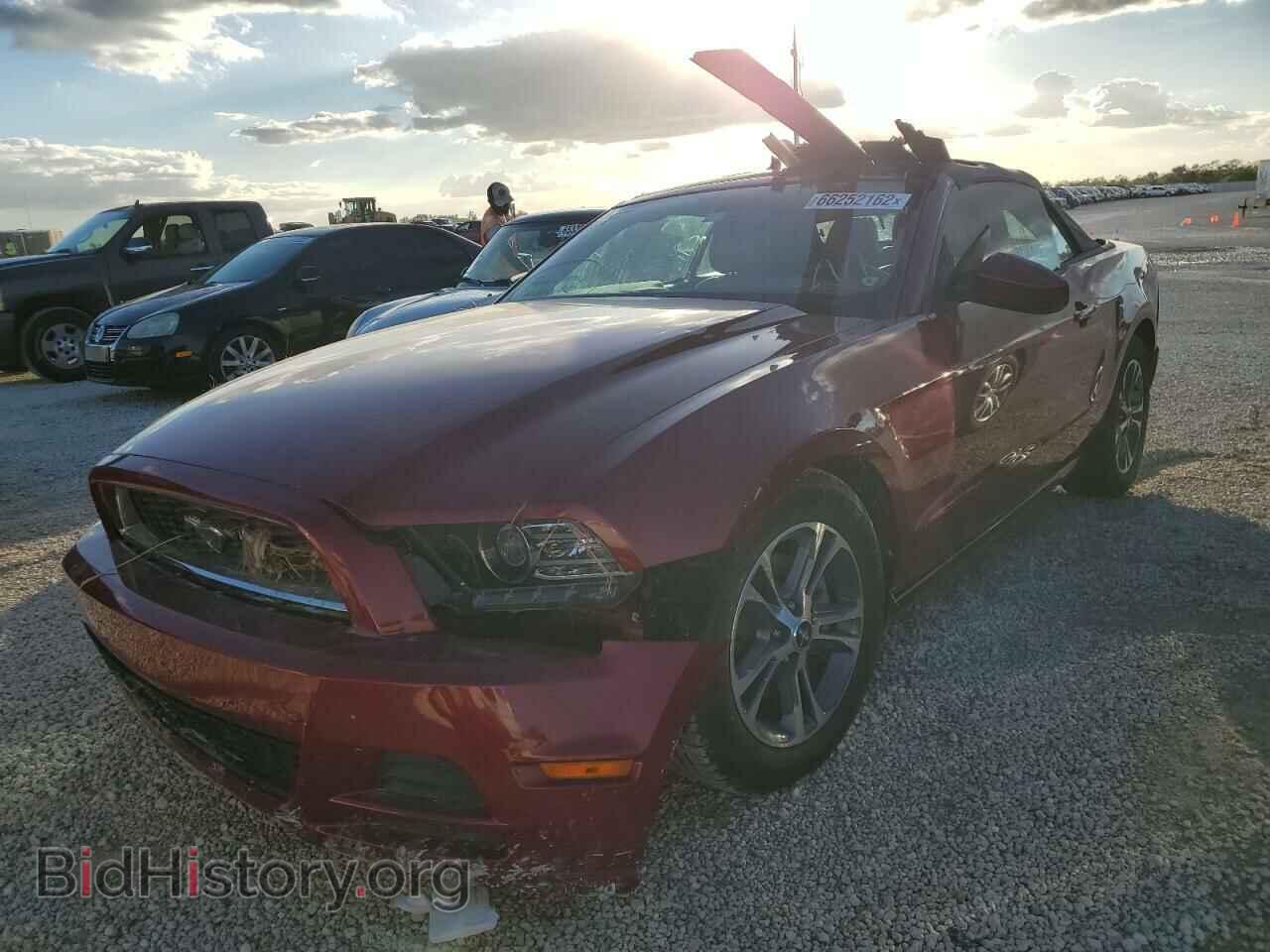 2014 FORD MUSTANG - VIN: 1ZVBP8EM2E5275732 - Фото 2