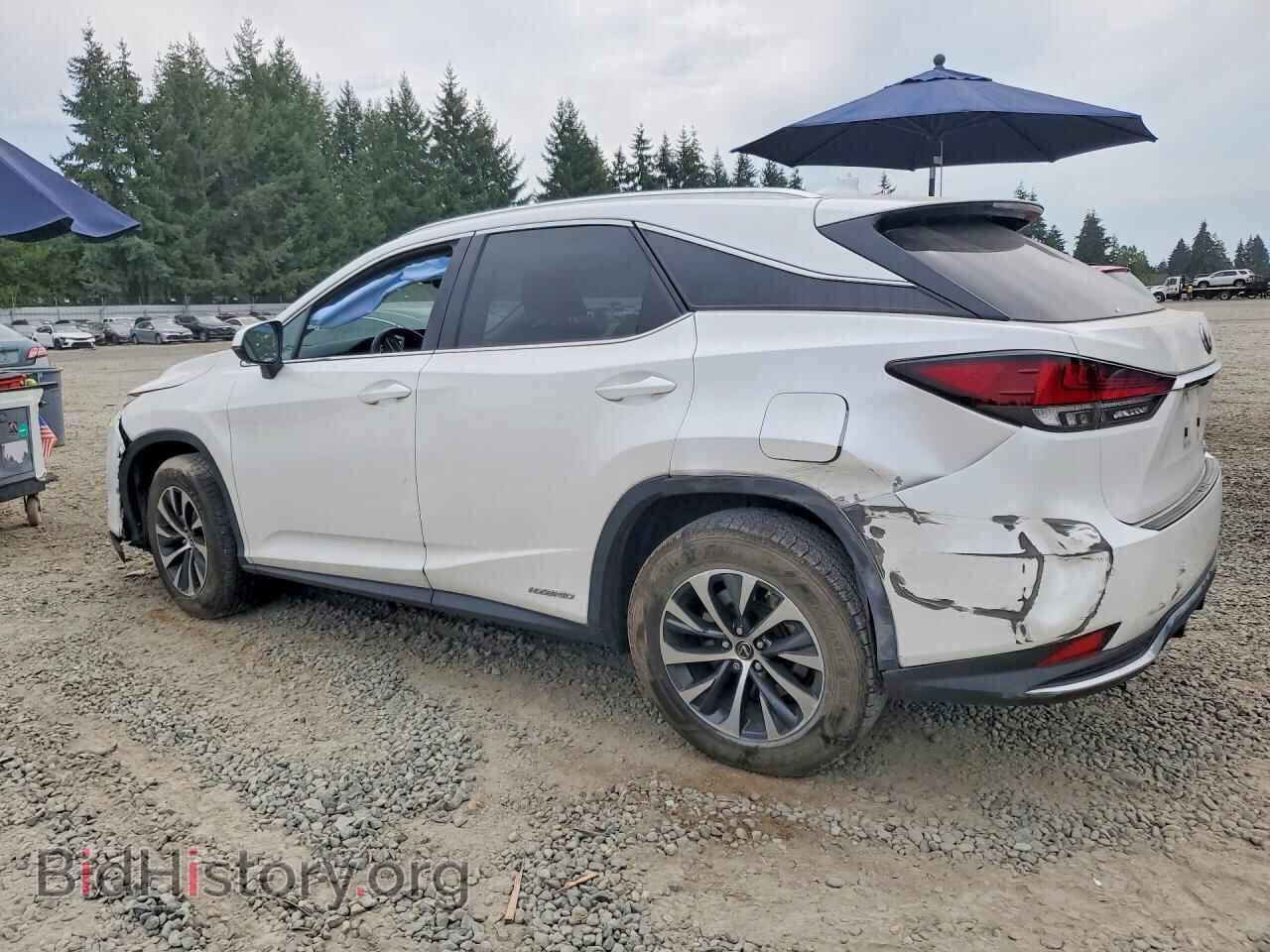 2020 LEXUS RX450 - VIN: 2T2AGMDAXLC047018 - Фото 2