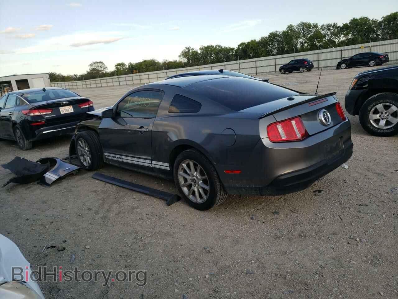 2010 FORD MUSTANG - VIN: 1ZVBP8AN0A5115079 - Фото 3