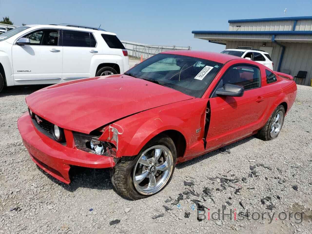 Photo 1ZVHT82H165134245 - FORD MUSTANG 2006