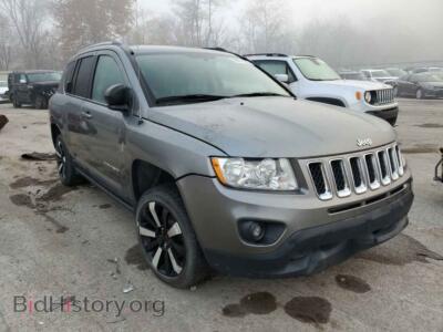 2011 Jeep COMPASS Compass SP, серый — VIN 1J4NF1FB4BD202171, Copart