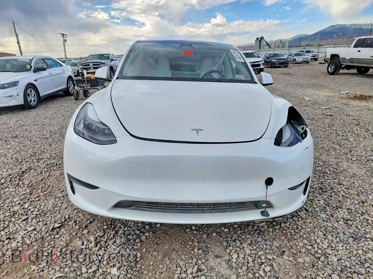 2023 TESLA MODEL Y - VIN: 7SAYGDEF1PF712860 - Photo 5