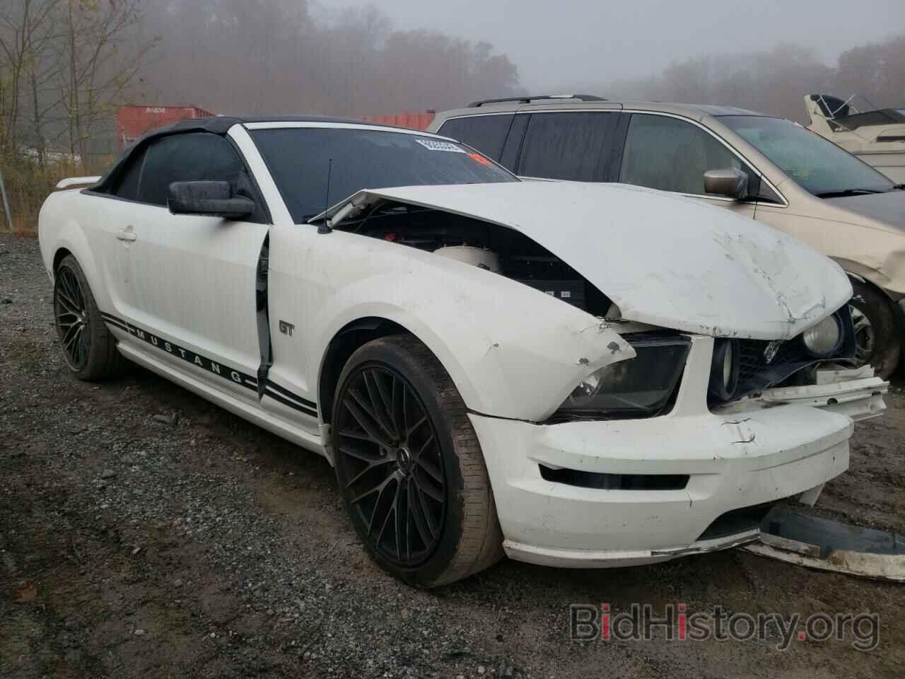 Photo 1ZVFT85H365193641 - FORD MUSTANG 2006