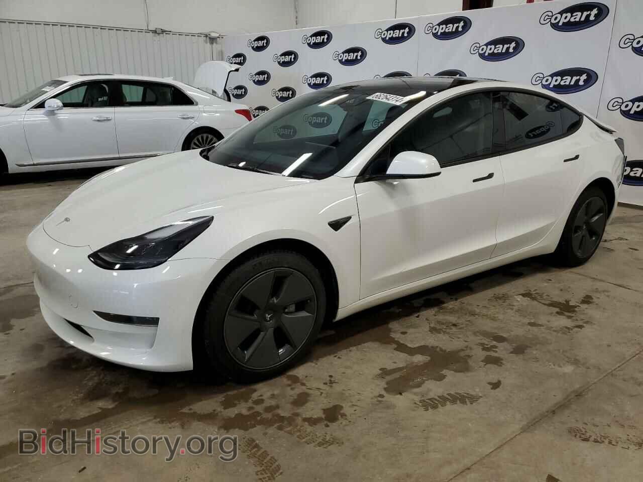 Photo 5YJ3E1EA7PF582454 - TESLA MODEL 3 2023