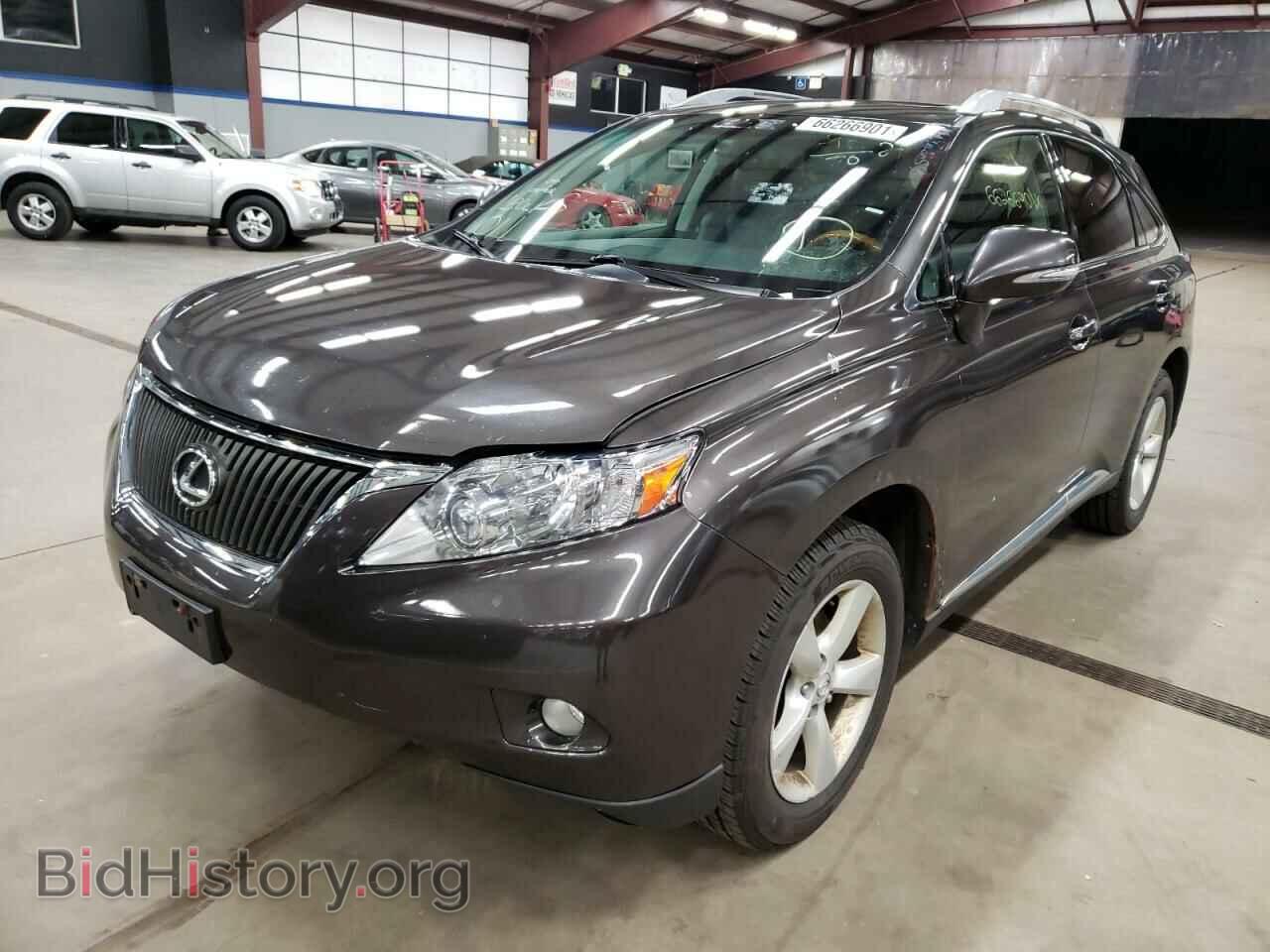 2010 LEXUS RX350 - VIN: 2T2BK1BA1AC003667 - Фото 2