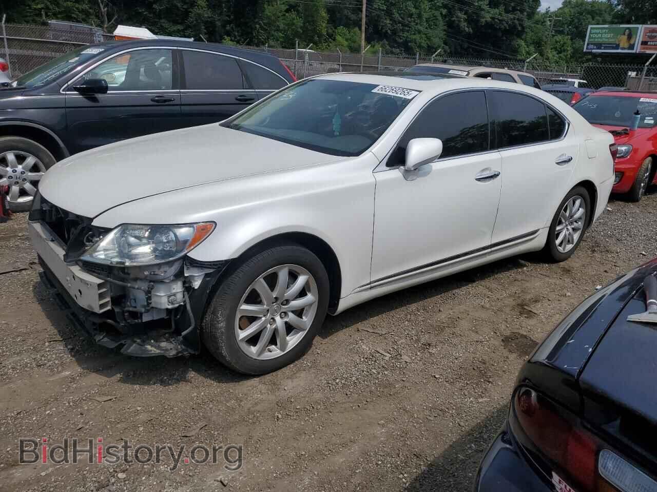 Photo JTHBL46F585070612 - LEXUS LS460 2008