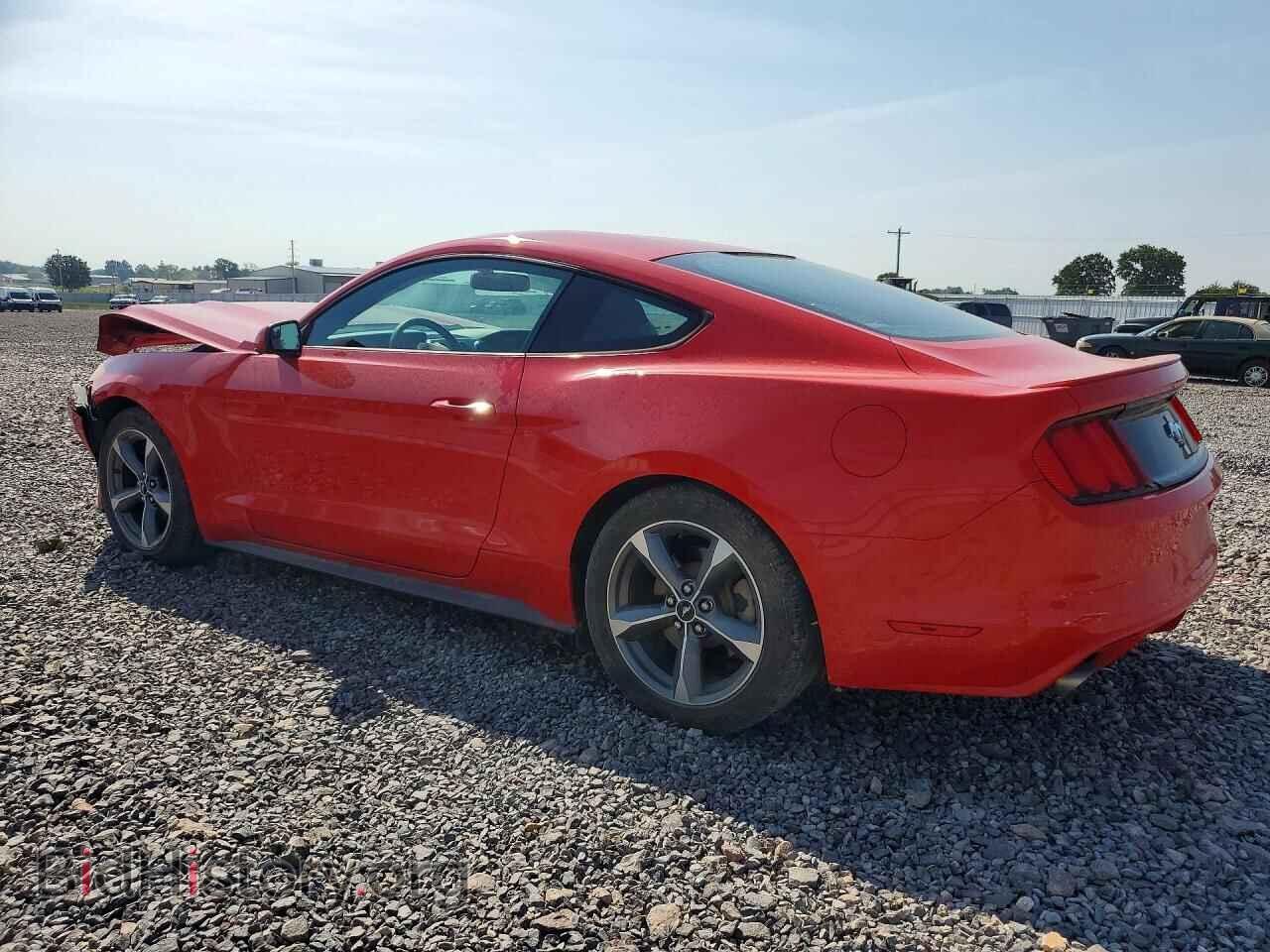 2016 FORD MUSTANG - VIN: 1FA6P8AM0G5252663 - Фото 2