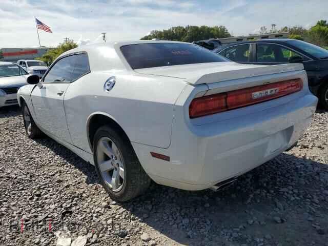 2011 DODGE CHALLENGER - VIN: 2B3CJ5DT5BH516933 - Фото 2