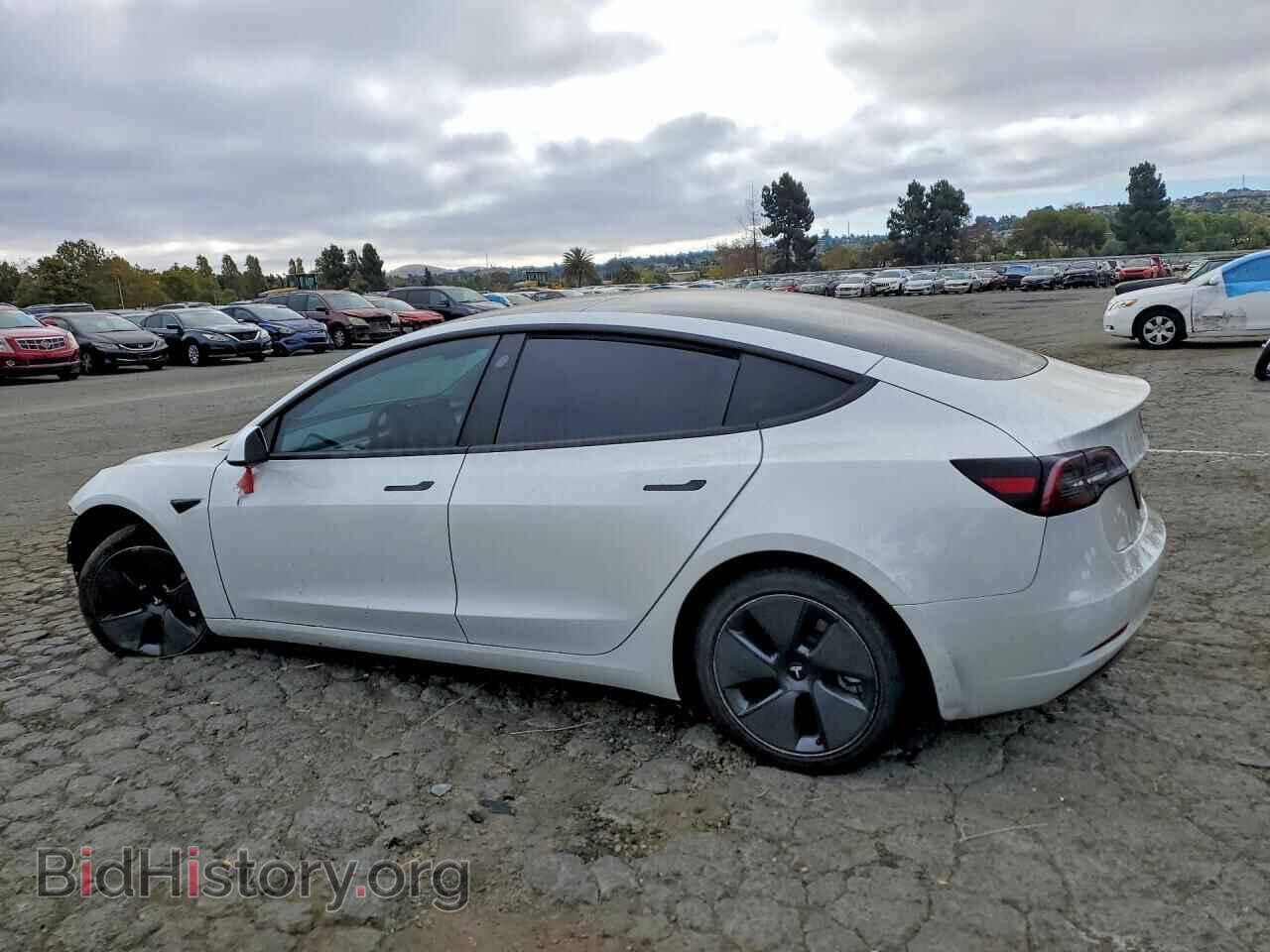 2023 TESLA MODEL 3 - VIN: 5YJ3E1EA9PF576218 - Фото 2