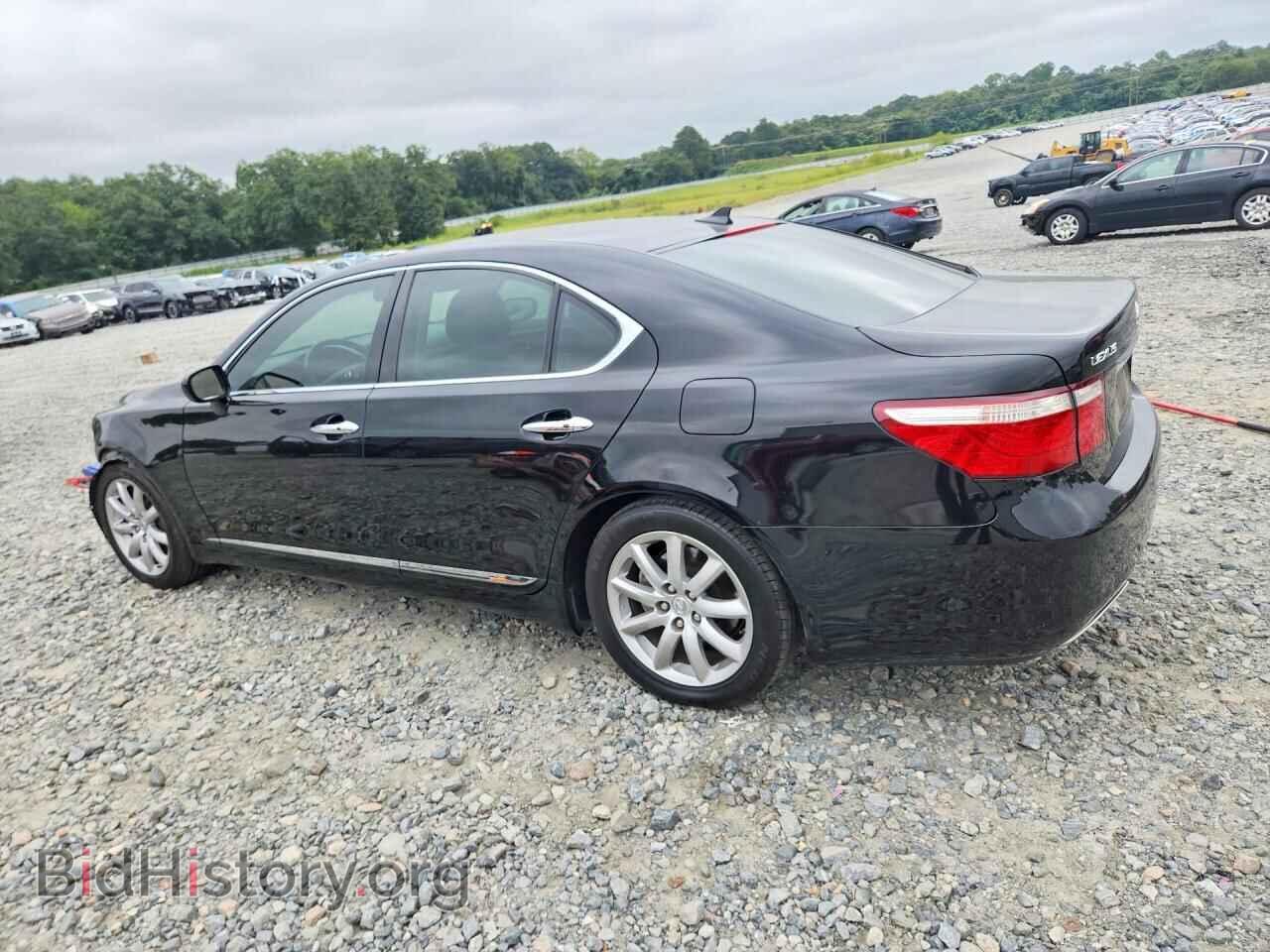 2008 LEXUS LS460 - VIN: JTHBL46F085073711 - Photo 2