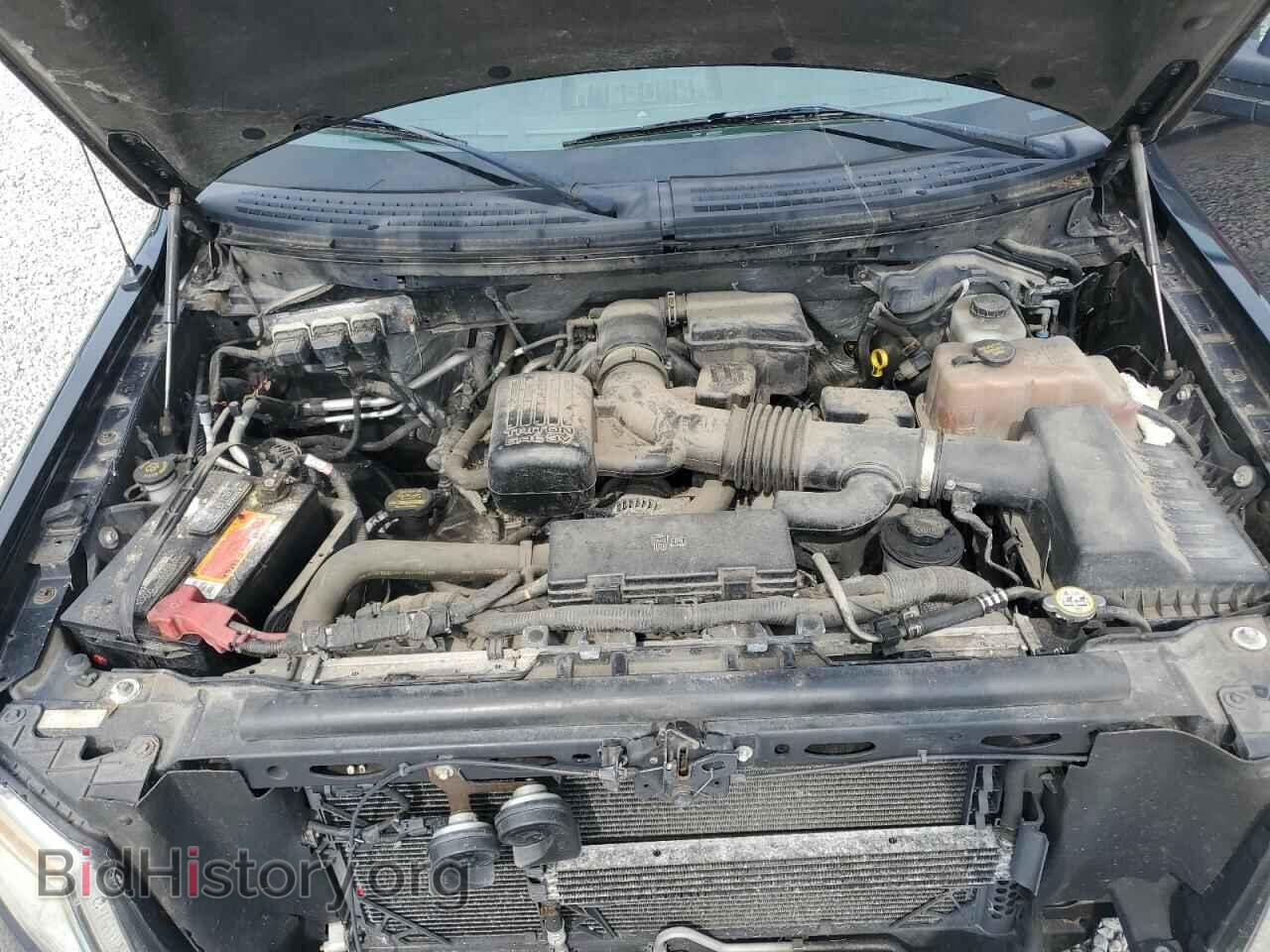 2010 FORD F-150 - VIN: 1FTFW1EV3AFD76077 - Фото 11