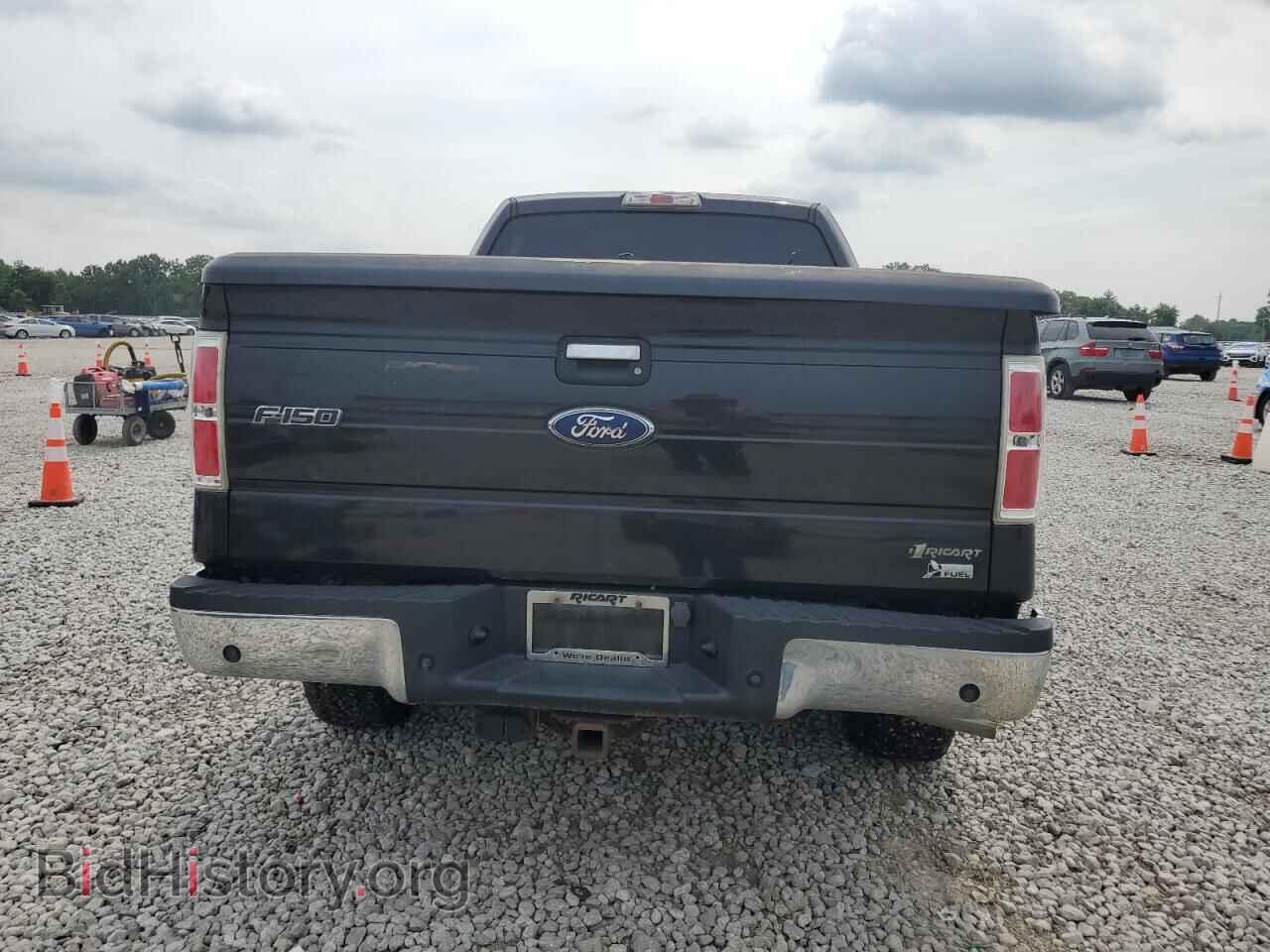 2010 FORD F-150 - VIN: 1FTFW1EV3AFD76077 - Фото 6