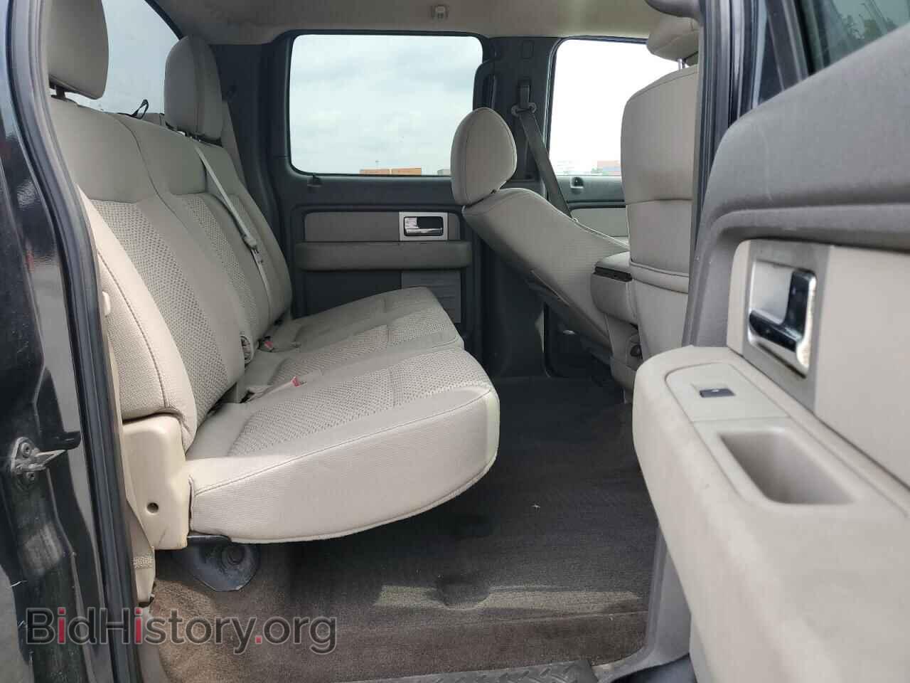 2010 FORD F-150 - VIN: 1FTFW1EV3AFD76077 - Фото 10