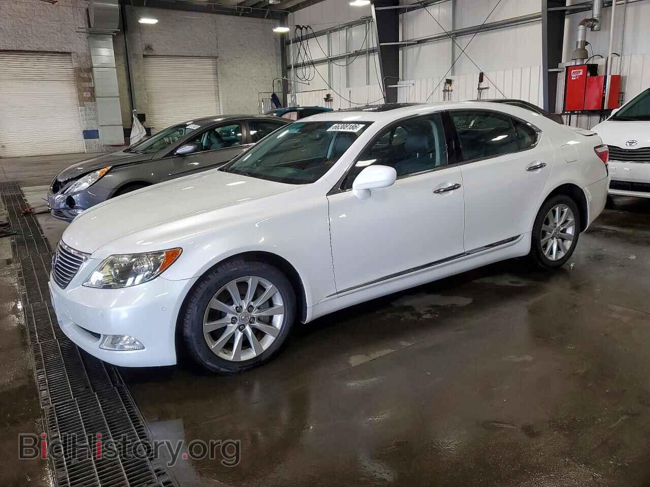 Фотография JTHCL46F995004621 - LEXUS LS460 2009
