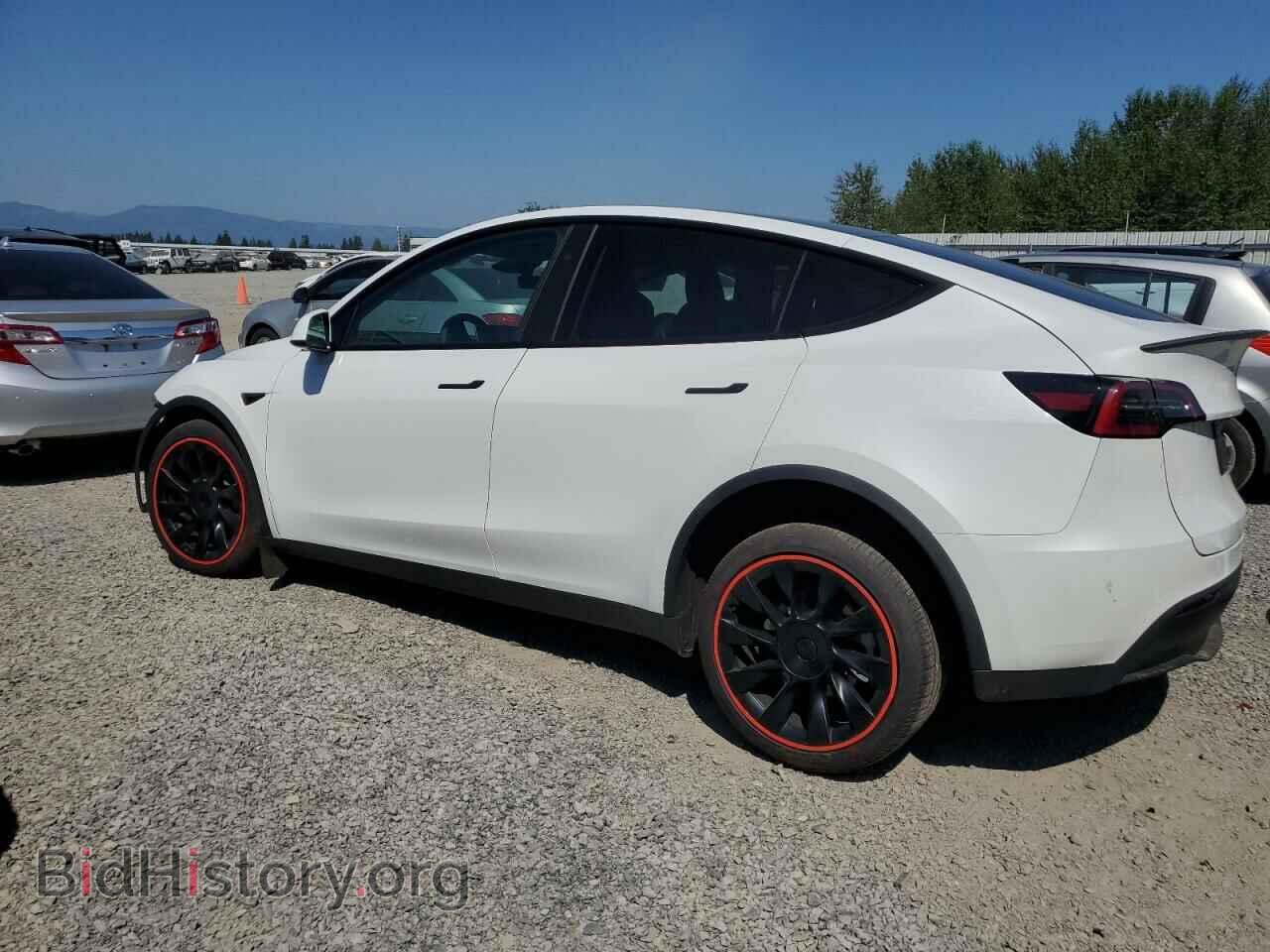 2024 TESLA MODEL Y - VIN: 7SAYGDEE0RF044656 - Фото 2