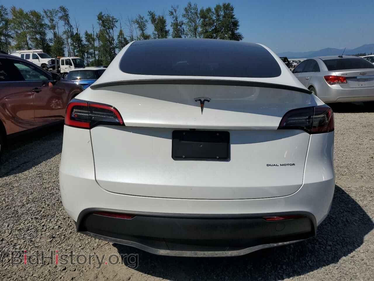 2024 TESLA MODEL Y - VIN: 7SAYGDEE0RF044656 - Фото 6