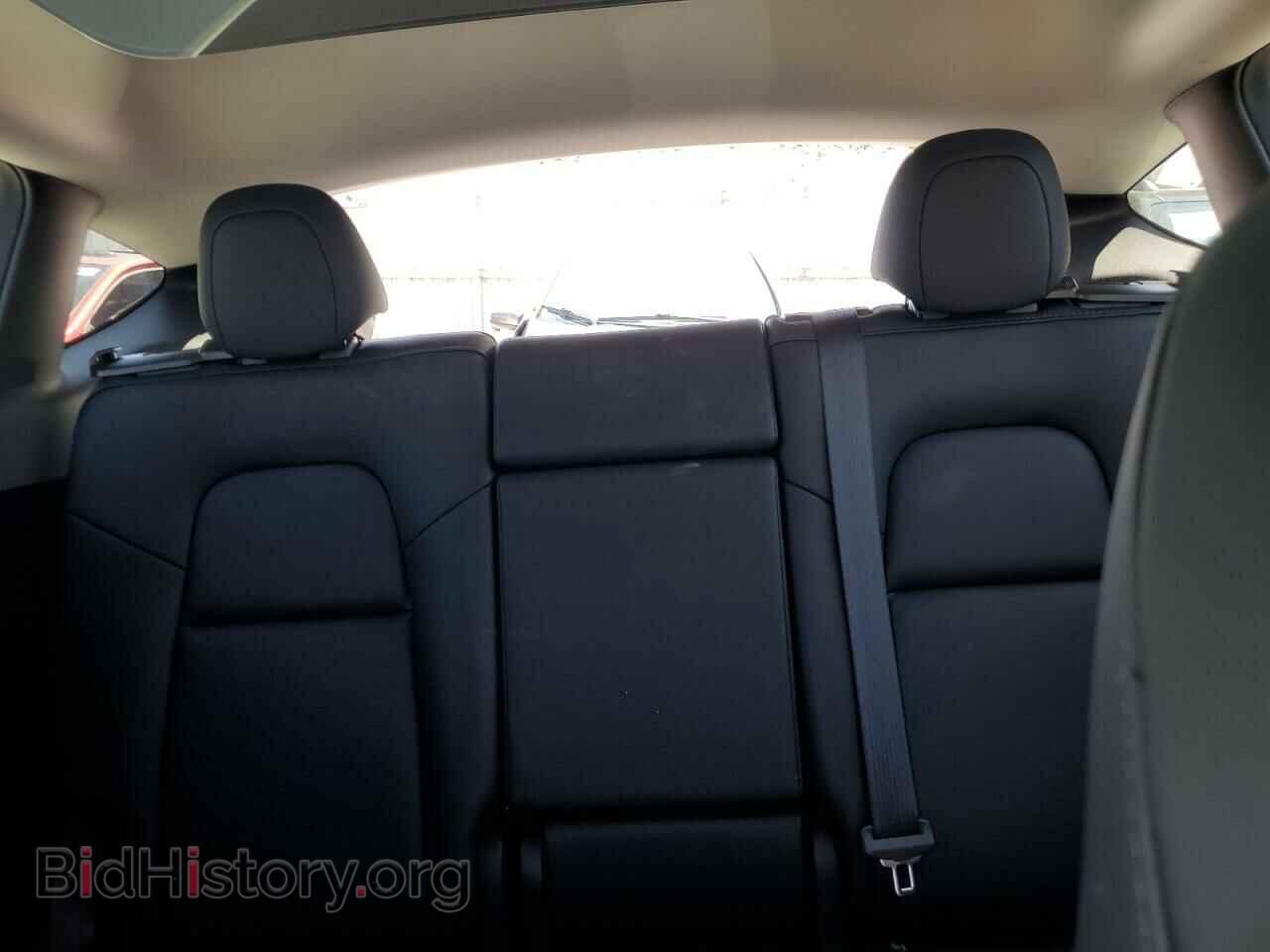 2024 TESLA MODEL Y - VIN: 7SAYGDEE0RF044656 - Фото 10