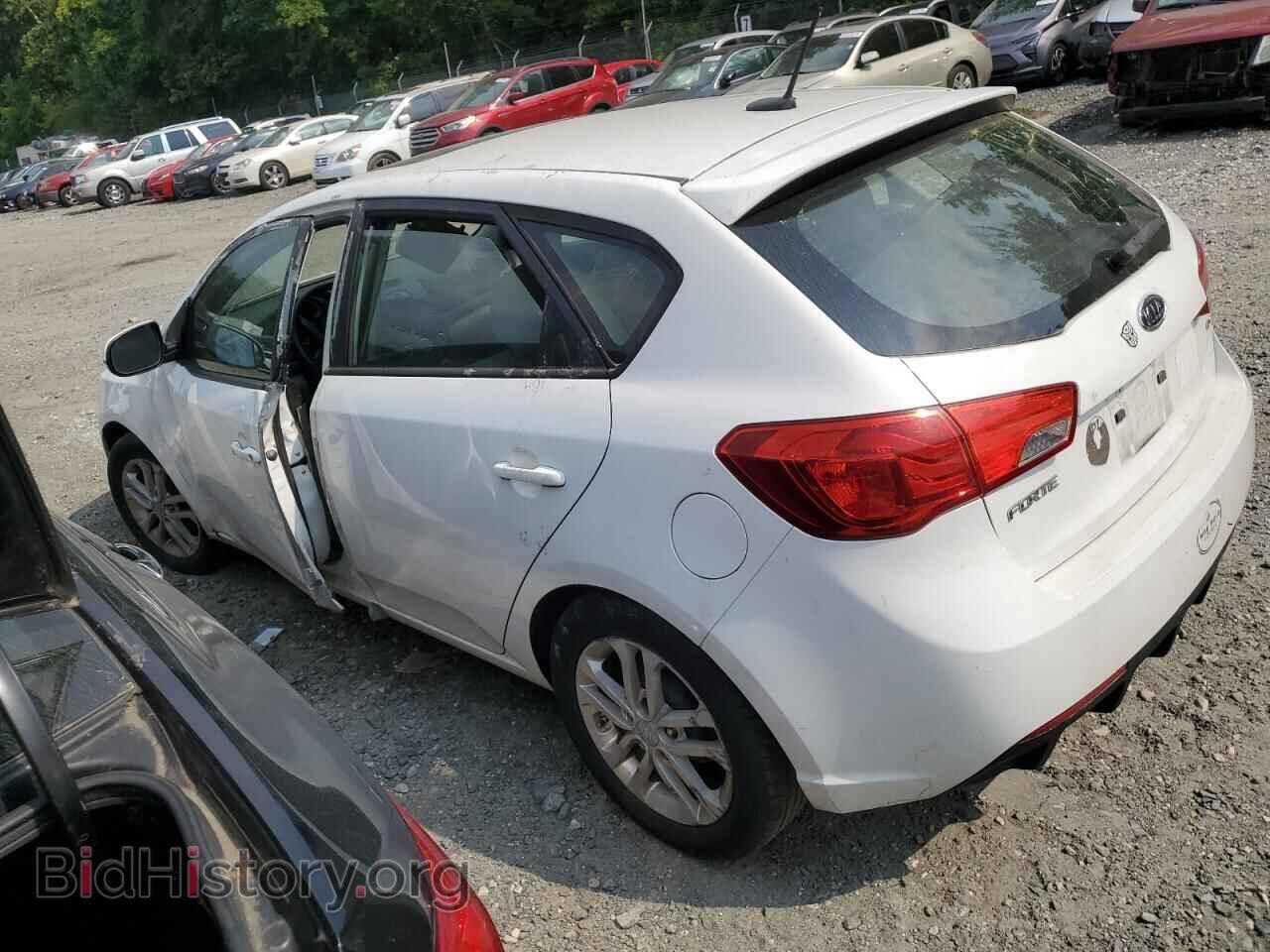 2011 KIA FORTE - VIN: KNAFU5A29B5348135 - Фото 2