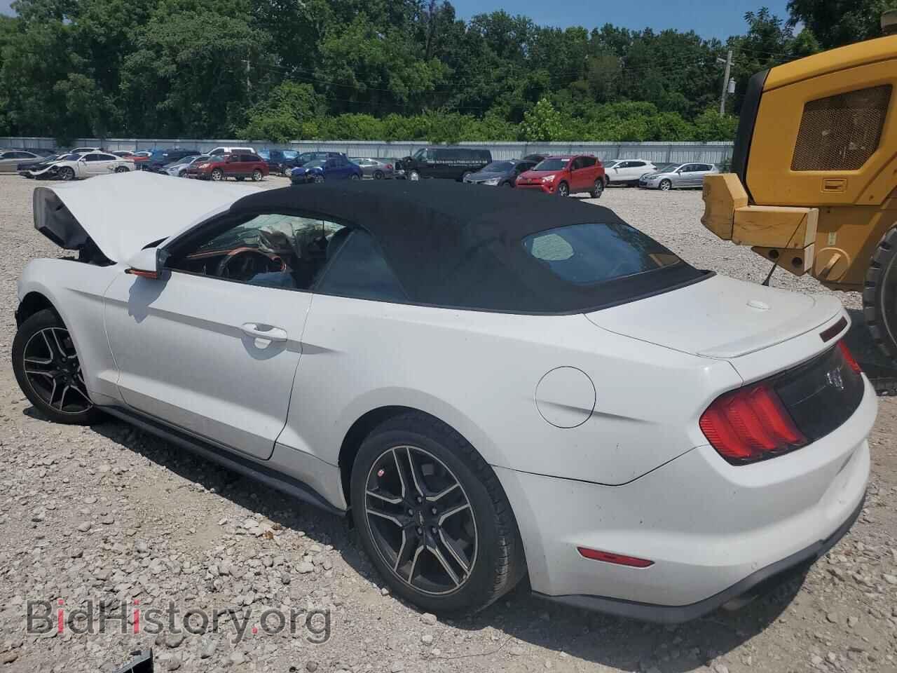 2019 FORD ALL Models - VIN: 1FATP8UH9K5131432 - Photo 2