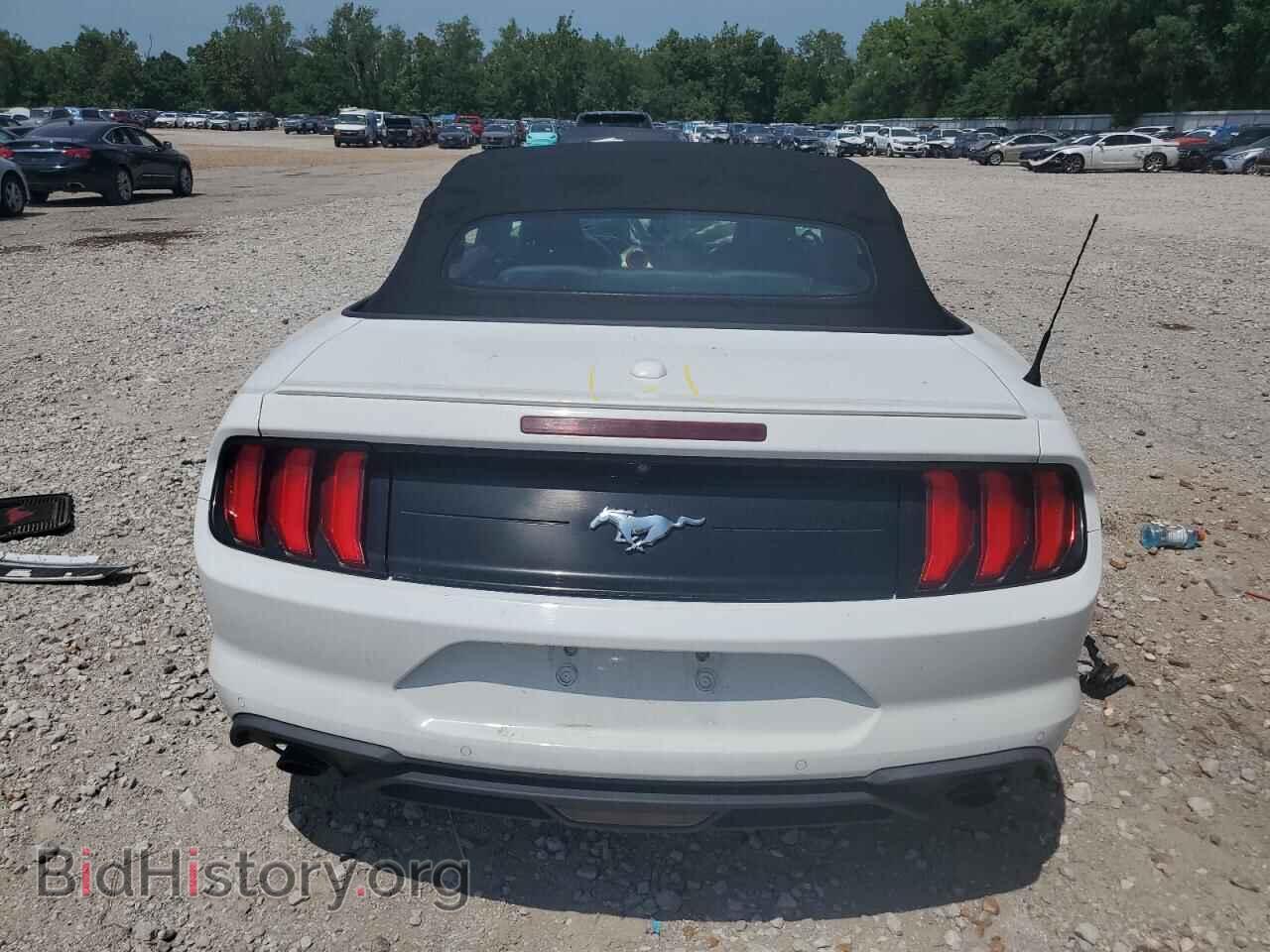 2019 FORD ALL Models - VIN: 1FATP8UH9K5131432 - Photo 6