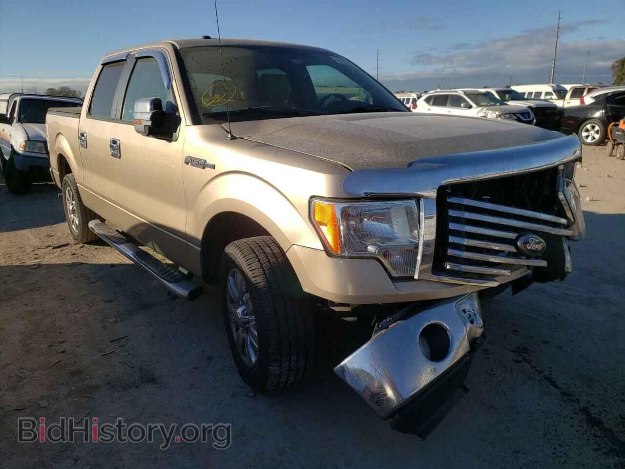 Фотография 1FTEW1CMXCFB32905 - FORD F-150 2012