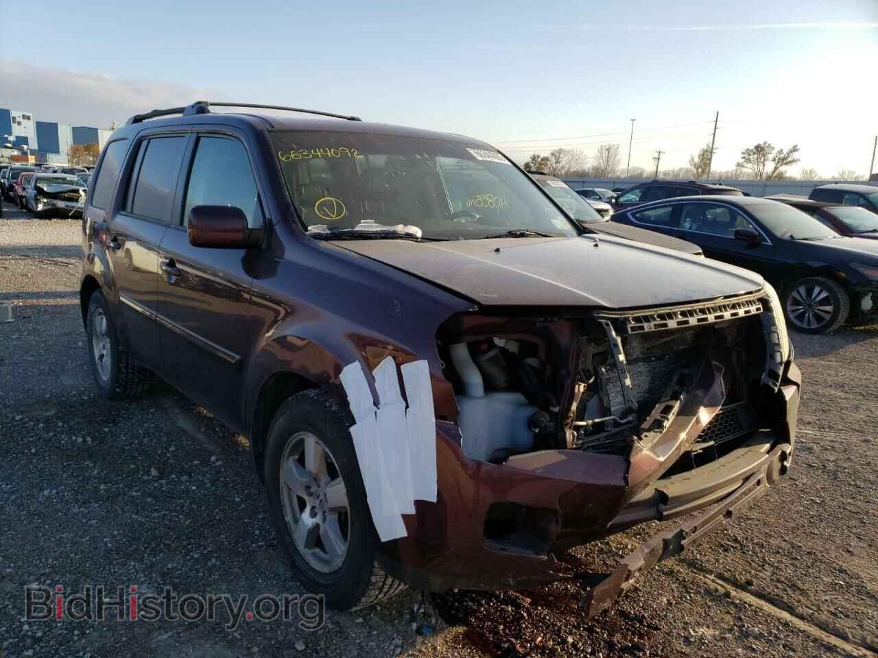 Photo 5FNYF4H55BB004560 - HONDA PILOT 2011