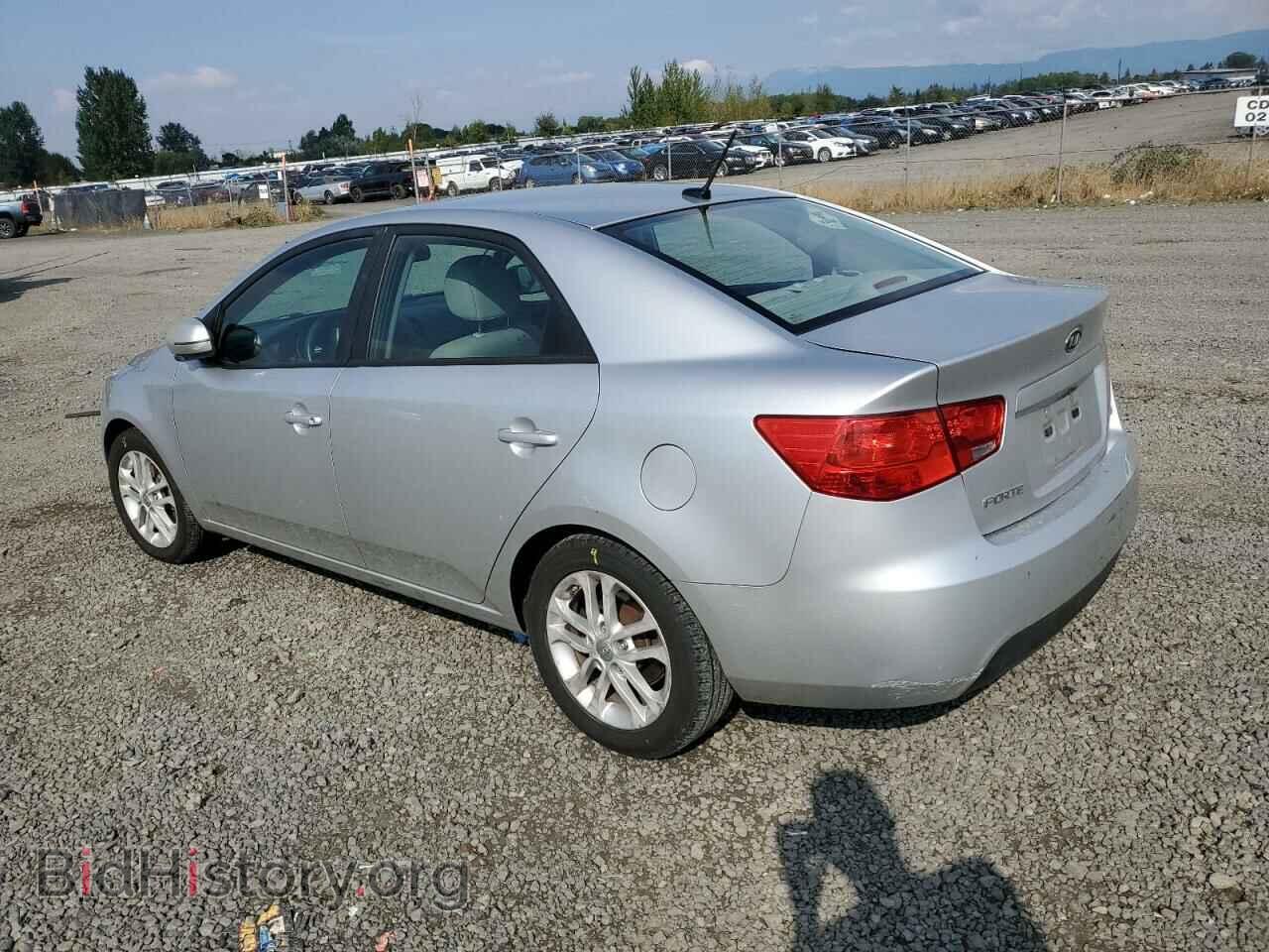 2011 KIA FORTE - VIN: KNAFU4A26B5452768 - Фото 2