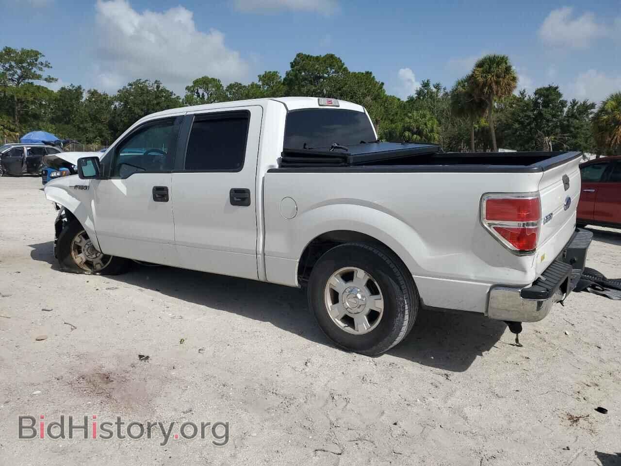 2013 FORD F-150 - VIN: 1FTFW1CF9DFA54396 - Фото 2