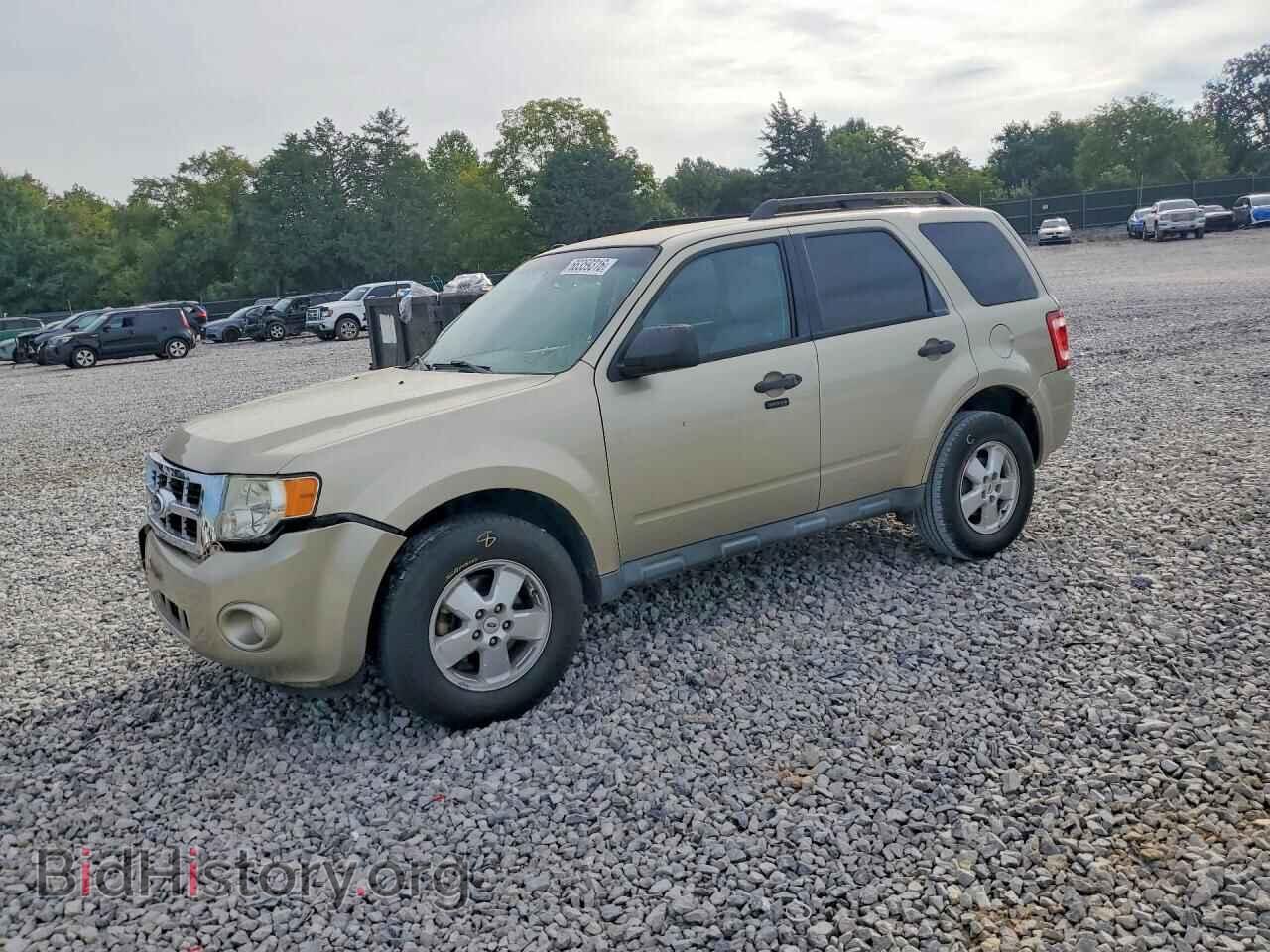 Photo 1FMCU0DG0BKC31606 - FORD ESCAPE 2011