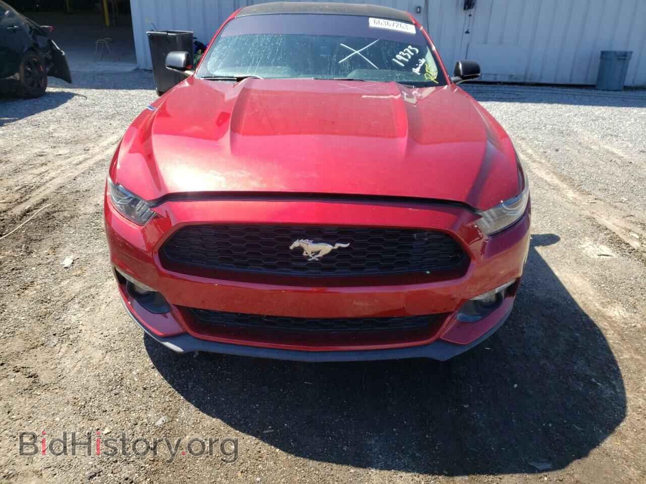 2017 FORD ALL Models - VIN: 1FA6P8TH9H5270984 - Фото 5