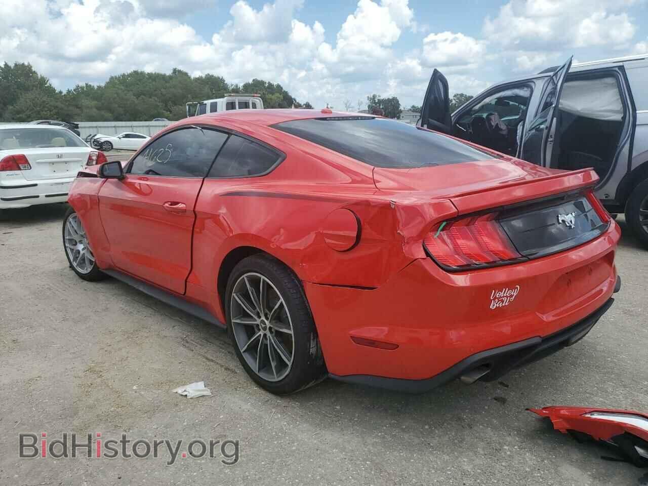 2019 FORD ALL Models - VIN: 1FA6P8TH3K5151254 - Фото 2
