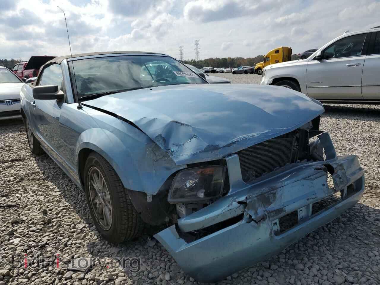 Photo 1ZVHT84N365122214 - FORD MUSTANG 2006
